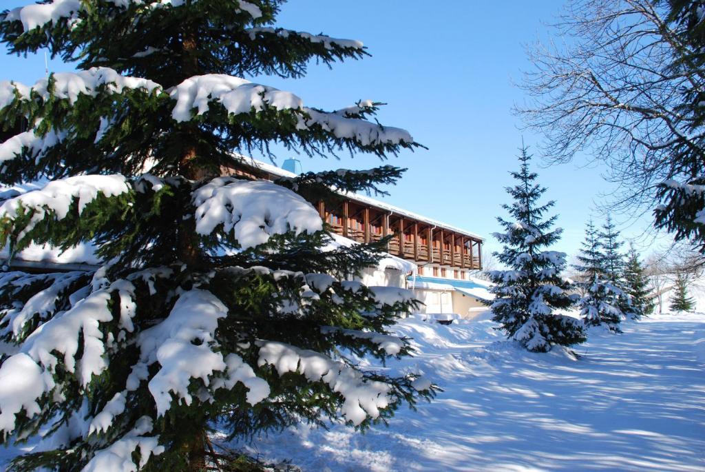 Hotel Le Grand Chalet Foncine-le-Haut Bagian luar foto